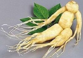 Raíz do ginseng para facer infusión